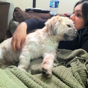 Dog fell asleep in my wife's arms. Fucking brat. She humanizes him too
