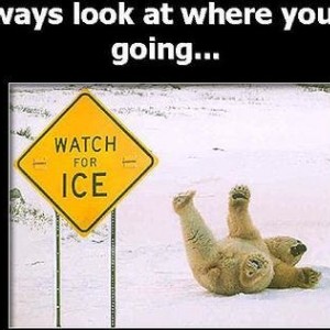 Arctic_Irony