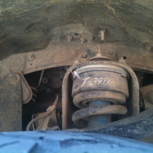I guess I don't drive Lacy enough. Notice spider on spider web between
