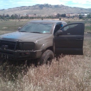 mud-arb