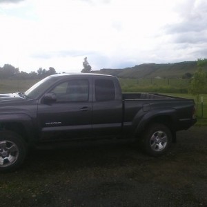 Tacoma1114