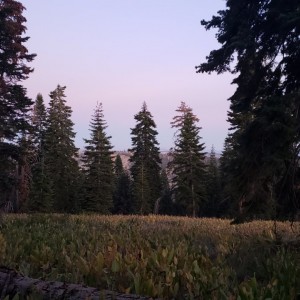 20190914_192045