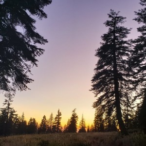20190914_192119