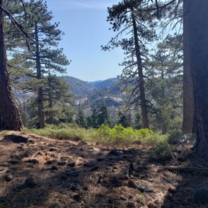 20190921_094056
