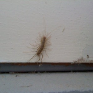 he's a biggin