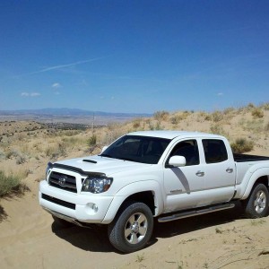 Taco in the dirt