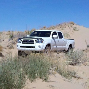 Taco in the dirt