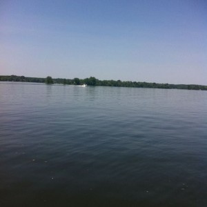livexvwQNf