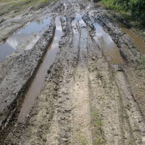 Mast_rd_6-4-11_0041