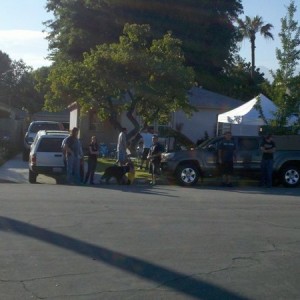 Arcadia Mini Mod day 2