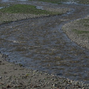 DSC_1248_v1-1280x846