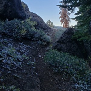 20190929_071842