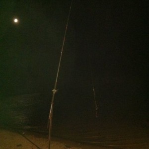 One of them good nights