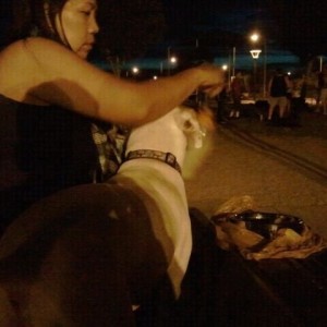 Really lady? Get your fucking dog off the bench!