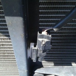 Satoshi project, want to relocate the horns and wondering what this plug is