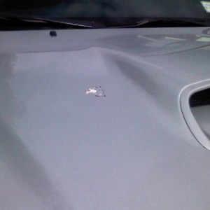 Wash and wax not 2 min. ago! WTF?