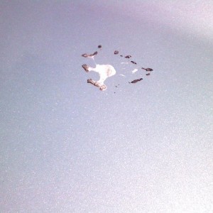 Effing birds!