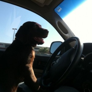 Today's co- pilot