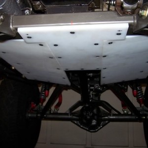 BellyRear