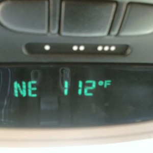 Vegas WTF