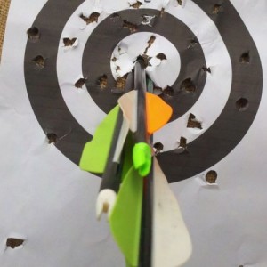 20 yard group