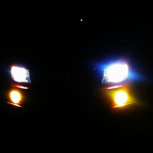 Yellow fogz