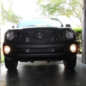 only fogs on