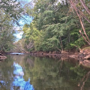 Creek Off The Cape Fear River