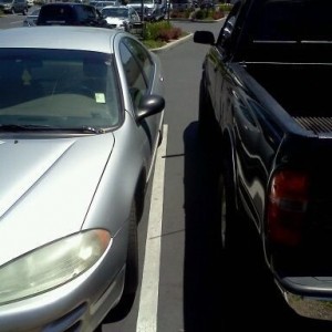 wtf, asshole