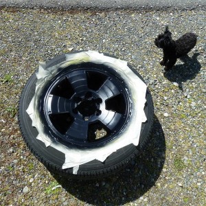 Killer Dog N Rims