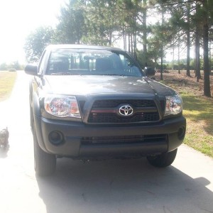 New Taco