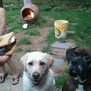 Smores anyone? Cookin em up with the pups, wife and babysitting our neice