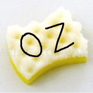 Sponge