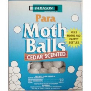 MothBalls_cedar