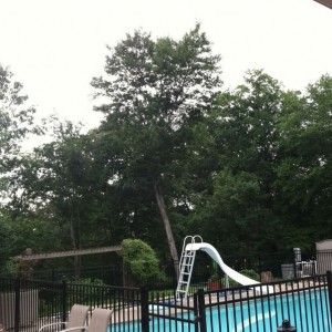 Got to love East TN lol sunny as can be yet it's raining