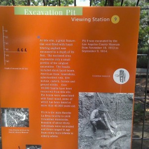 La brea tar pits