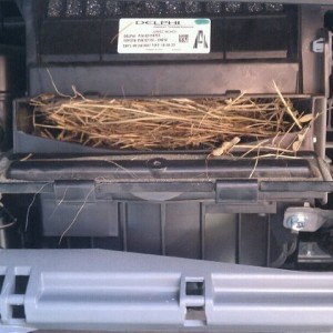 Think a cabin filter change us a lil overdue?!
