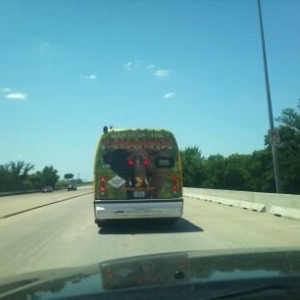 Zombie Zoo anyone?