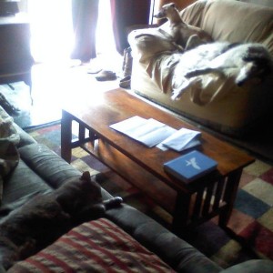 Tough morning!