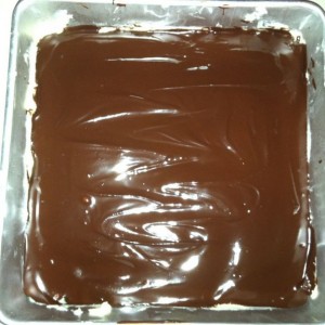 Homemade Nanaimo Bars. Thanks to Canada for inventing such a tasty treat!! 