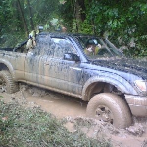 Stuck. Real thick mud. Notice the driver displaying his opinion.
