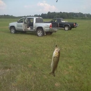 Good music, fishing, and tacomas. You just cant beat it.
