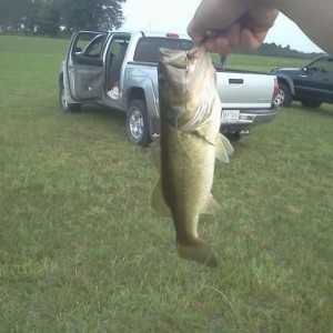 Ended up with this about a pound and a halfer as the biggest catch of the d