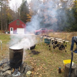 Boiling Traps 2019