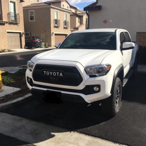 TRD Pro Grill w/Garnish - White Lettering