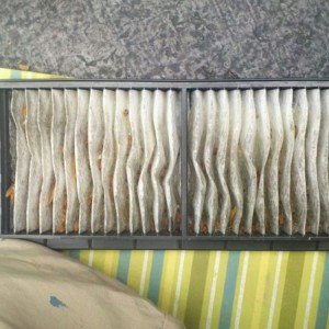 That's a dirty ass cabin filter for only a year old