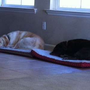 It's been a hard day :rolleyes:
