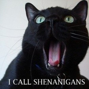 shenanigans