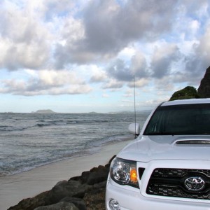 Aloha from Hawaii