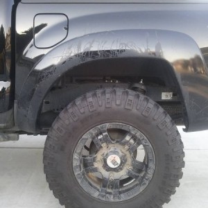 allpro_leaf_rear